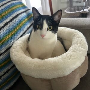 Meet your Posher, Deanna